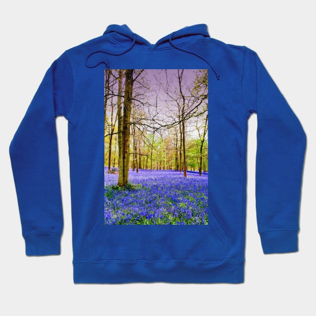 Bluebell Woods Greys Court England UK Hoodie by AndyEvansPhotos